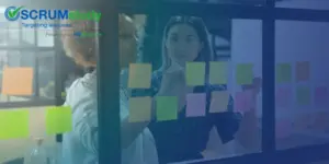 Scrum Product Owner